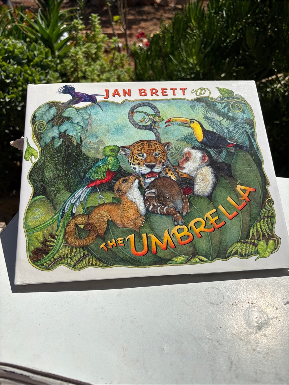 Jan Brett "The Umbrella" Illustrated Children's Book - Colorful Jungle Cover